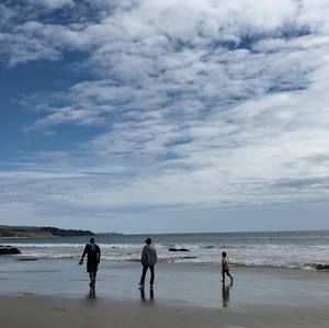 Meet your Posher, Martha